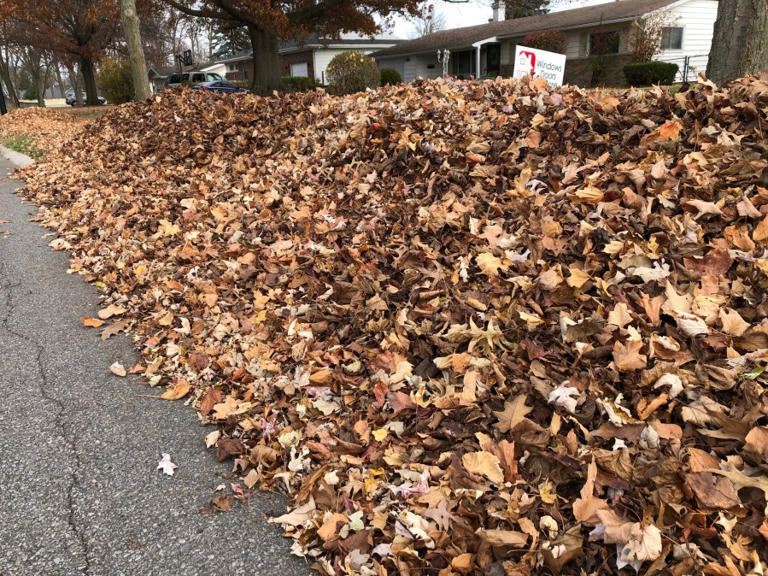 Here’s the leaf collection schedule for Fort Wayne neighborhoods