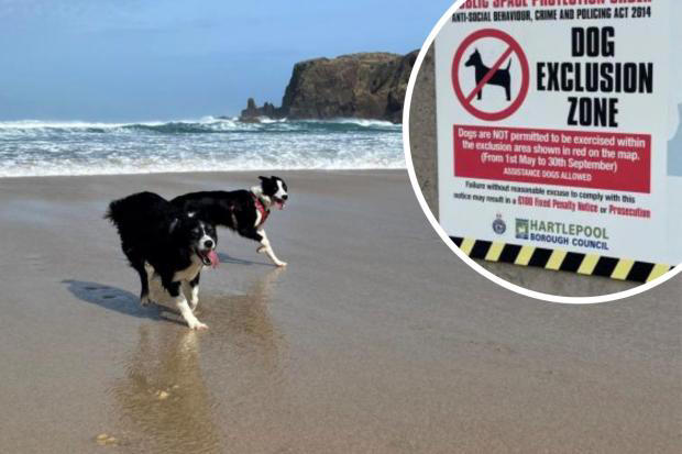 Listed: North East Beaches With Summer Ban On Dogs As Restrictions Loom