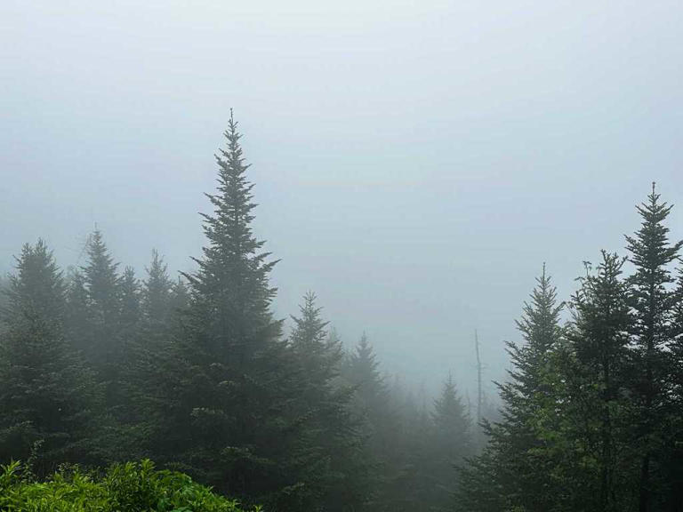 The “smoky” mountains are obscured in mist. Photos by Rene Cizio