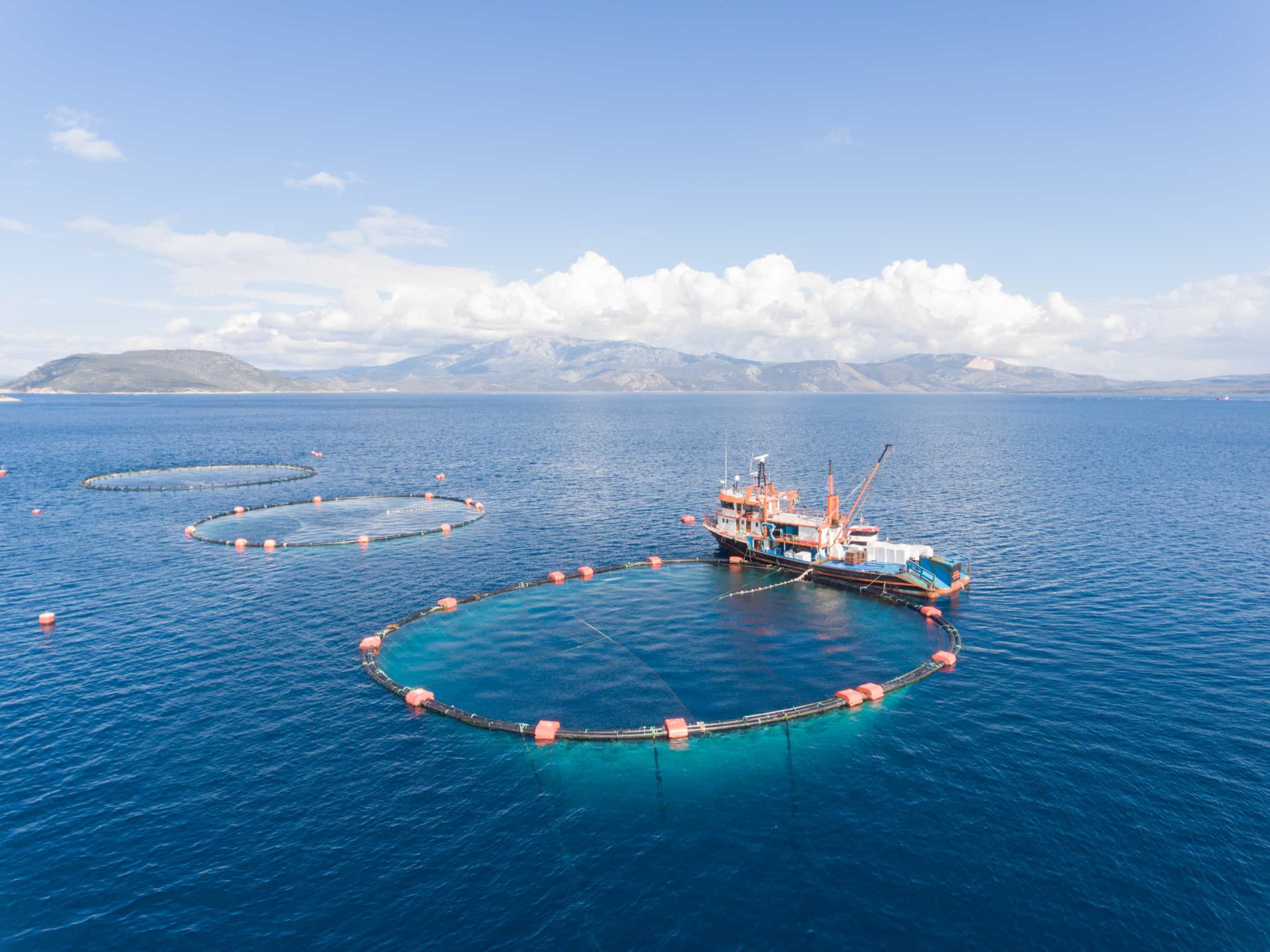 <p>To address the concerning decrease in fish numbers, more high-quality tuna are now being bred in enclosed nets and nourished with smaller fish in the ocean.</p><p><a href="https://www.msn.com/en-us/community/channel/vid-7xx8mnucu55yw63we9va2gwr7uihbxwc68fxqp25x6tg4ftibpra?cvid=94631541bc0f4f89bfd59158d696ad7e">Follow us and access great exclusive content every day</a></p>