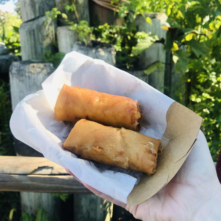 Best Snacks at Magic Kingdom Walt Disney World