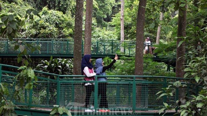 Sejumlah warga berjalan di Skywalk Babakan Siliwangi (Baksil) yang masih dalah proses pengerjaan di kawasan hutan kota Babakan Siliwangi, Kota Bandung, Minggu (12/2/2017). Skywalk sepanjang 2 kilometer dan lebar 2,6 meter ini akan memutar di atas hutan kota sehingga pengunjung dapat menikmati pemandangan dari atas. (TRIBUN JABAR/GANI KURNIAWAN)
