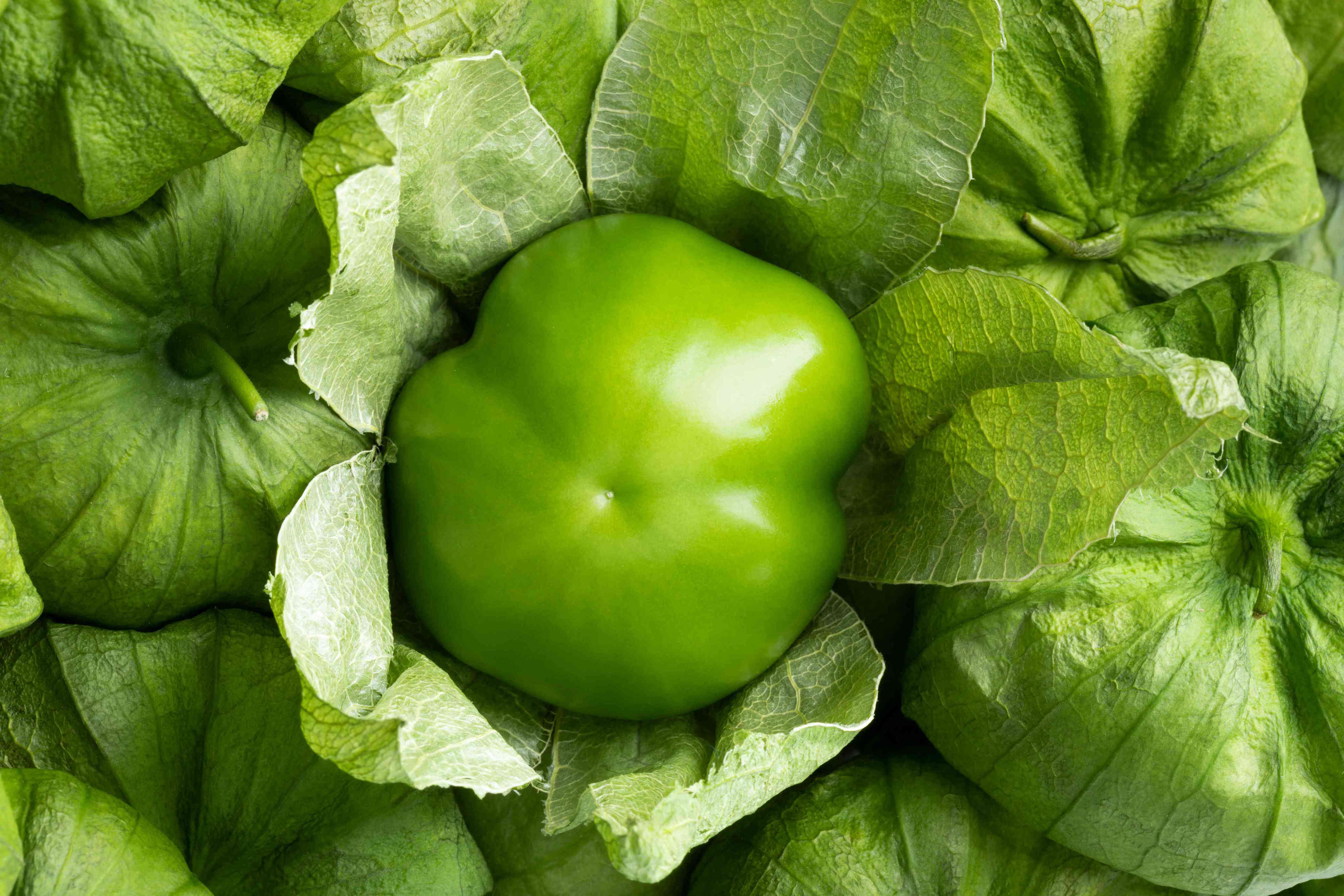 What Is a Tomatillo? How It Differs From Green Tomatoes
