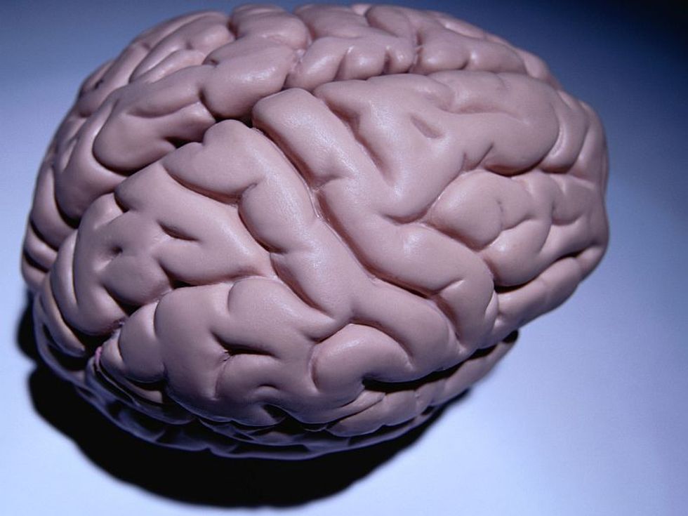 More brains. Мозг из пластилина. Органы человека картинка. Мозг напрокат. Jama Neurology Cover.