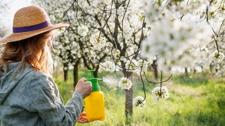 Say Goodbye To Garden Pests With This Popular Floor Cleaner