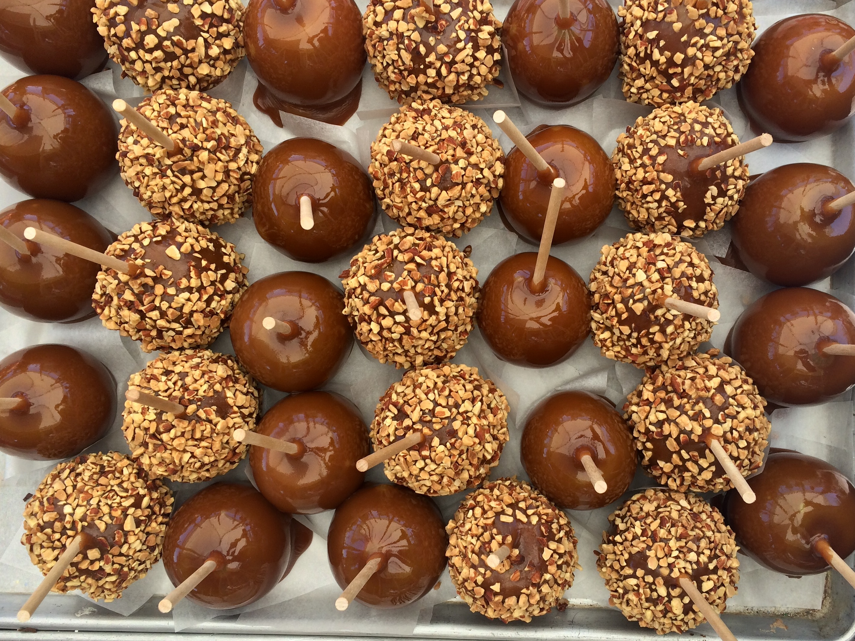 <p>For an apple treat that is extra sweet — albeit a bit messy to eat — <a href="http://shewearsmanyhats.com/chocolate-caramel-apples/">try this recipe from She Wears Many Hats.</a></p><p><a href='https://www.msn.com/en-us/community/channel/vid-cj9pqbr0vn9in2b6ddcd8sfgpfq6x6utp44fssrv6mc2gtybw0us'>Follow us on MSN to see more of our exclusive lifestyle content.</a></p>
