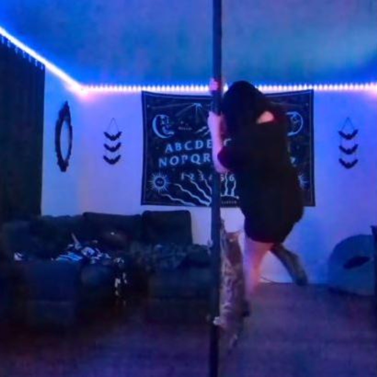 Gatito Taibolero Michi Se Vuelve Viral Por Practicar Pole Dance