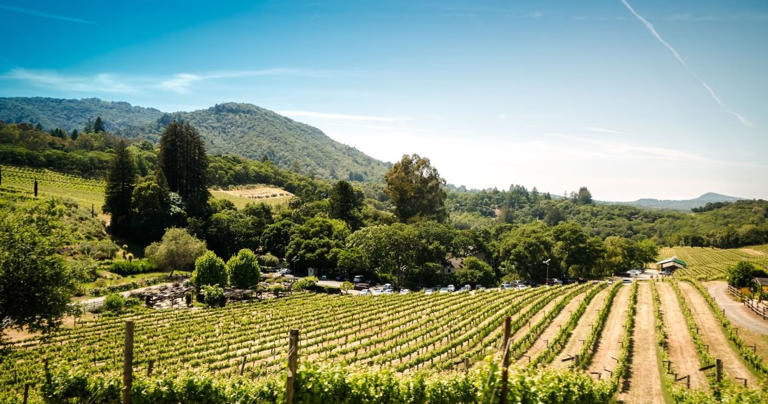 10 Things To Do in Sonoma County: Complete Guide To An Affordable Napa Alternative