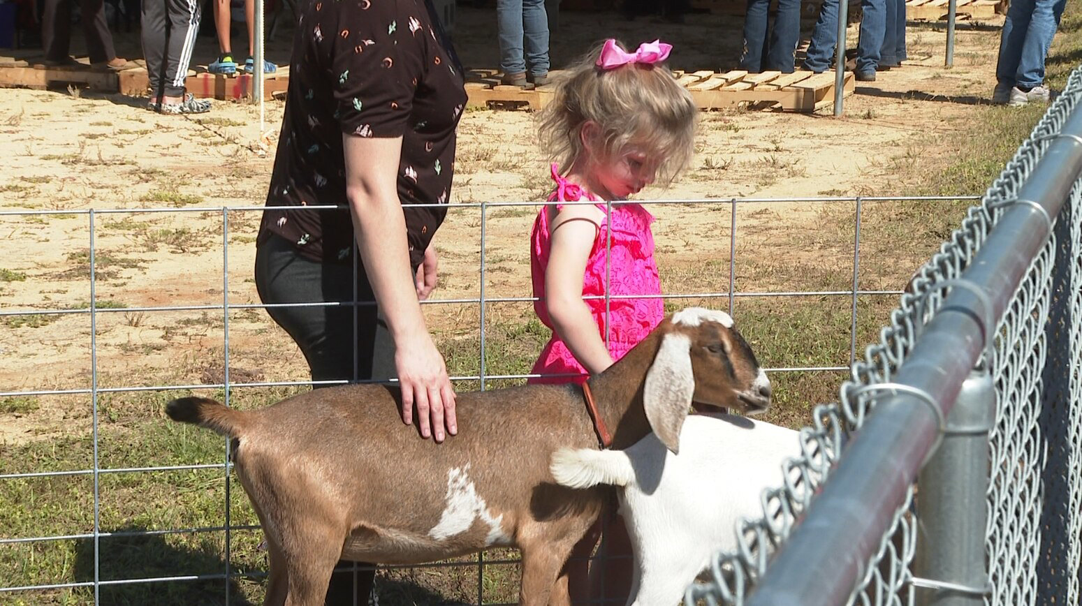 Annual Goat Day takes place in Blountstown