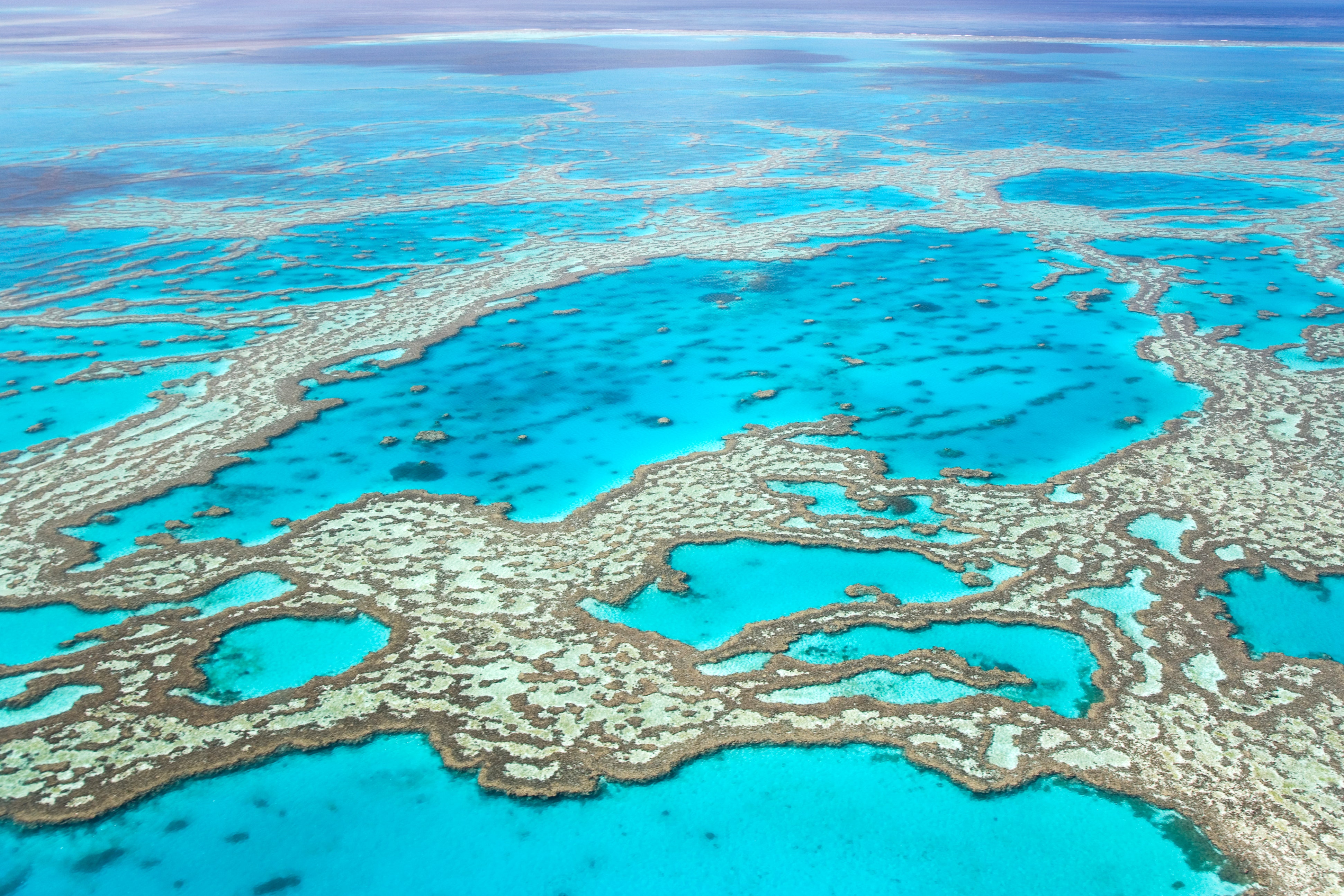 <p>Although the Great Barrier Reef—the largest living thing on Earth—can be seen from space, the best vantage point belongs to the avid snorkelers and scuba divers who visit each year. If you must resurface, do it at the <a href="https://www.cntraveler.com/story/all-the-new-places-to-stay-in-australias-whitsunday-islands?mbid=synd_msn_rss&utm_source=msn&utm_medium=syndication">Whitsundays</a>—namely Whitehaven Beach, often considered to be one of the world's most beautiful beaches.</p> <p><strong>Date of Inscription:</strong> 1981</p><p>Sign up to receive the latest news, expert tips, and inspiration on all things travel</p><a href="https://www.cntraveler.com/newsletter/the-daily?sourceCode=msnsend">Inspire Me</a>