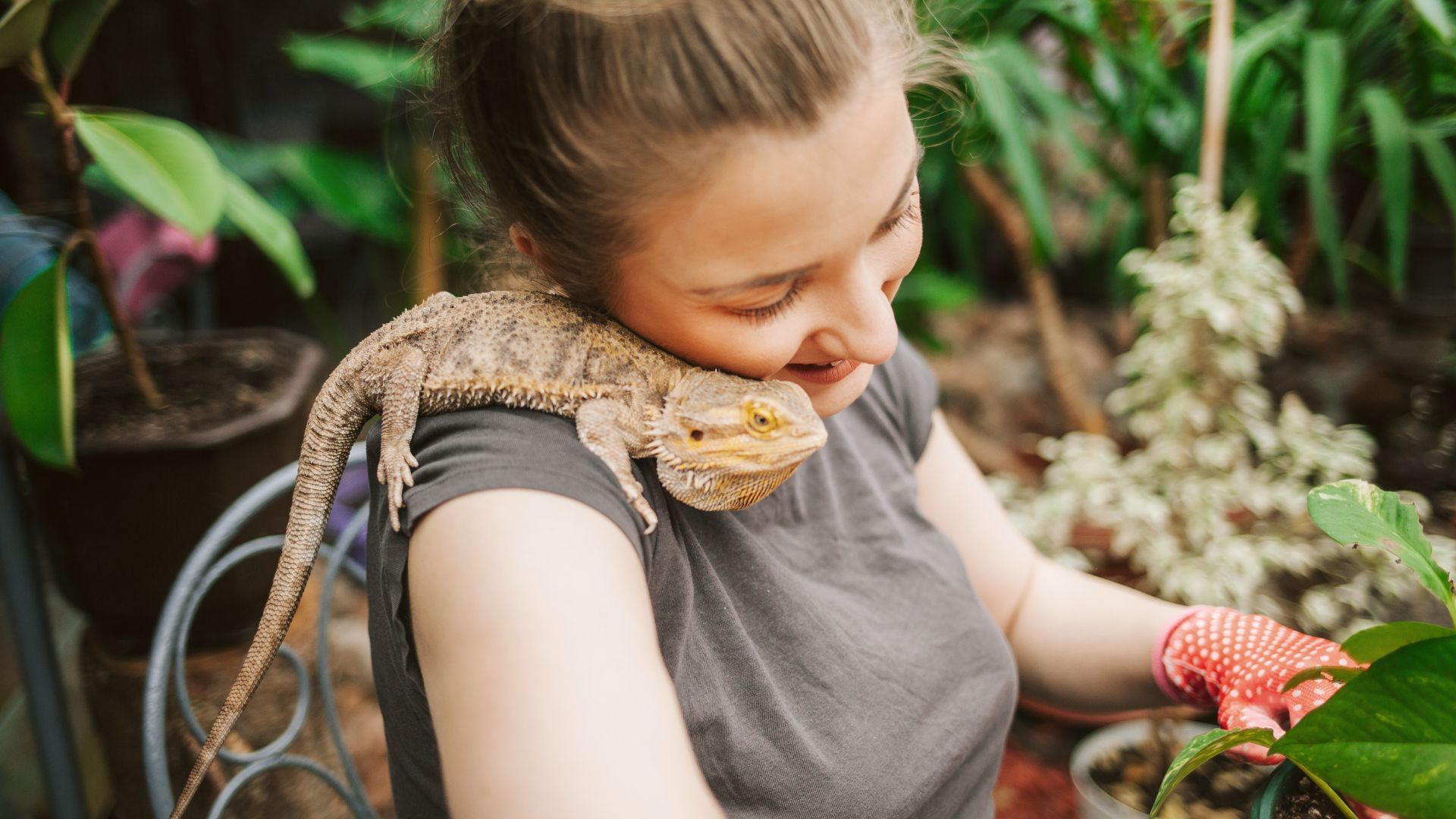 <p>                     Sticking with the reptile theme, Bearded Dragons could make for a great companion as they are docile creations that can live anywhere between 10 to 15 years long, if they’ve got access to good veterinary treatment and a good habitat.                   </p>