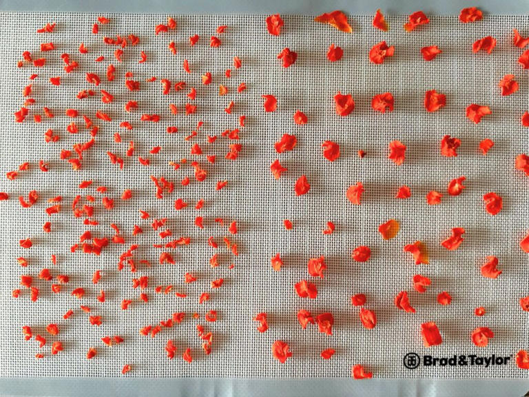 Easy Step-by-Step Guide for Dehydrating Carrots