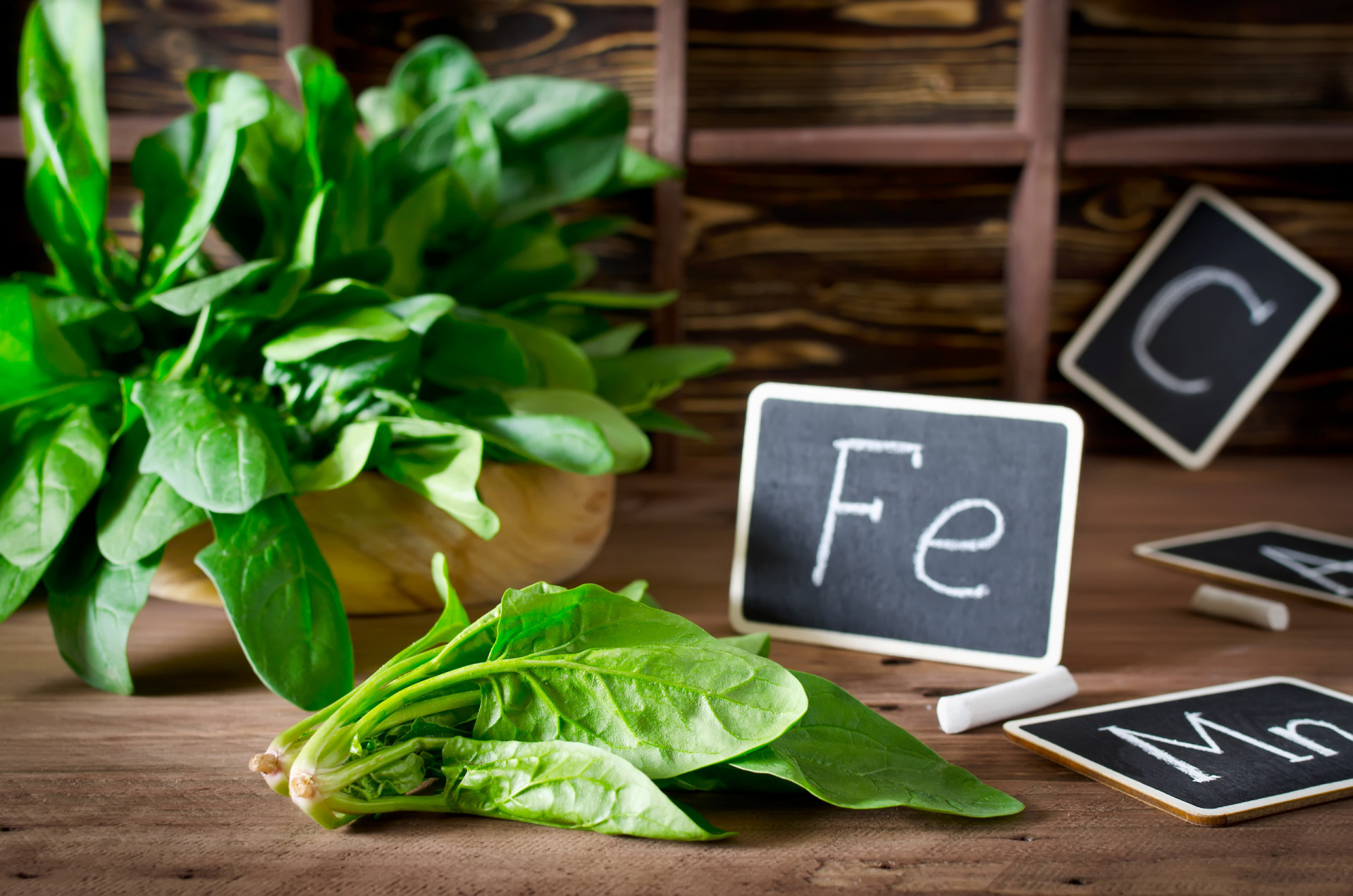 History's most unbelievable cases of typos and misspellings