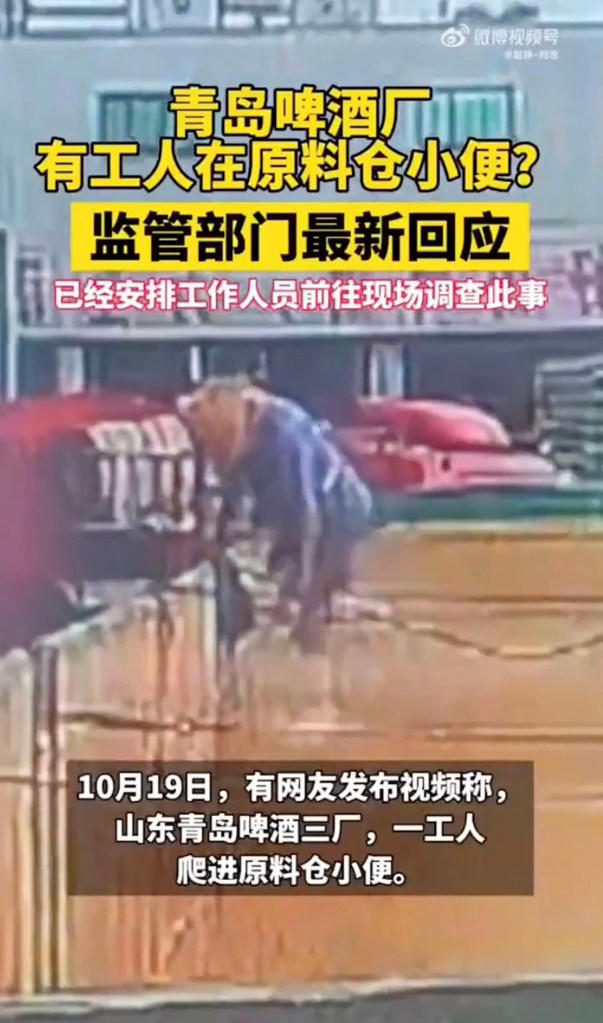 Worker caught on video peeing into tank at Chinese Tsingtao beer factory