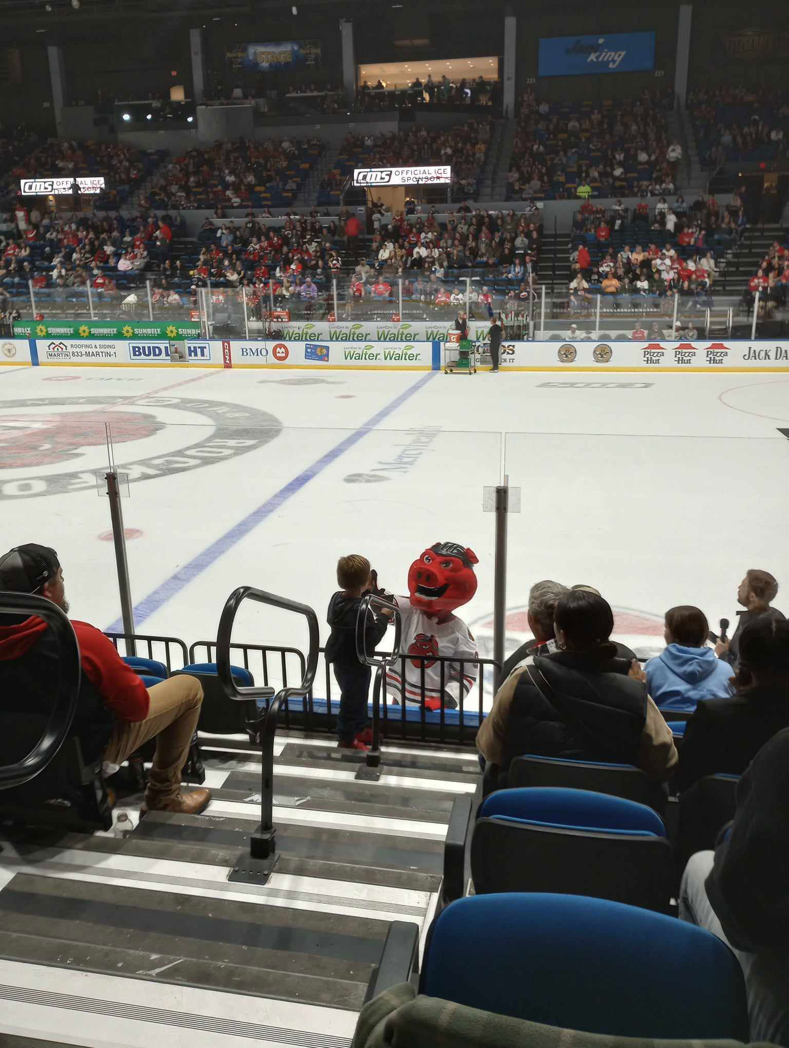 The Rockford IceHogs debuted the slimmer and healthier HAMMY Hog and  well : r/hockey