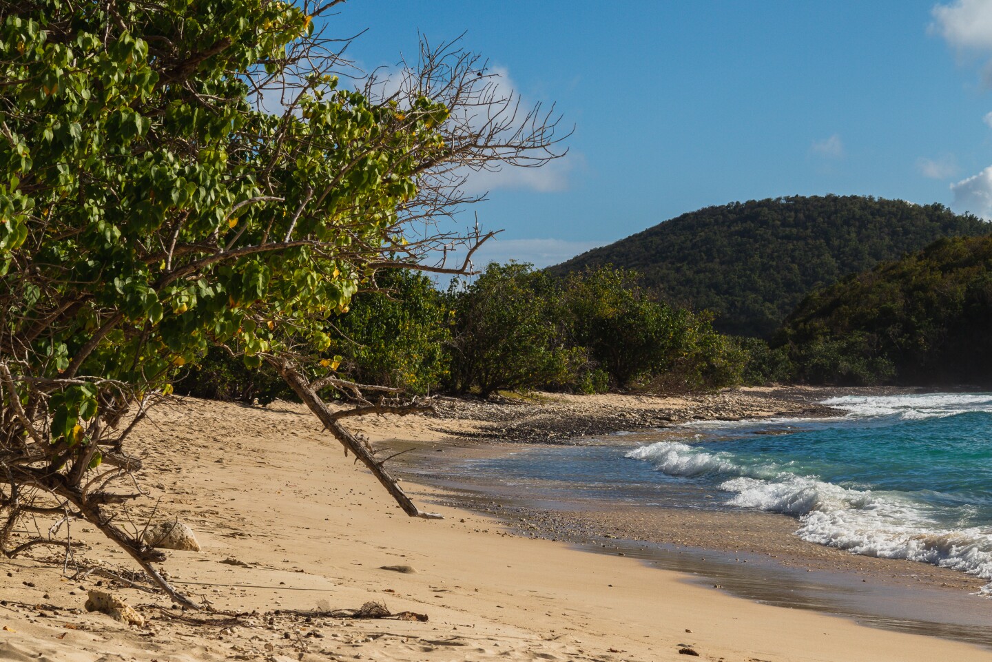 <h2>2. Playa Carlos Rosario</h2> <p><i>Culebra</i></p> <p> This rugged sweep of white sand bookended by forested headlands on the northwest coast of Culebra appears at the end of a dirt path that winds from the parking lot at Flamenco Beach. The 20-minute hike is well worth it: After meandering along the forested fringes of the Reserva Natural de Culebra, you’ll arrive at Playa Carlos Rosario and its prime snorkeling waters, where clouds of reef fish often school in the shallows.</p> <p> If you prefer to arrive by boat, it’s easy enough to find captains offering their services back in Culebra’s main town, Culebra Pueblo (Dewey). The trip takes about 20 minutes.</p>