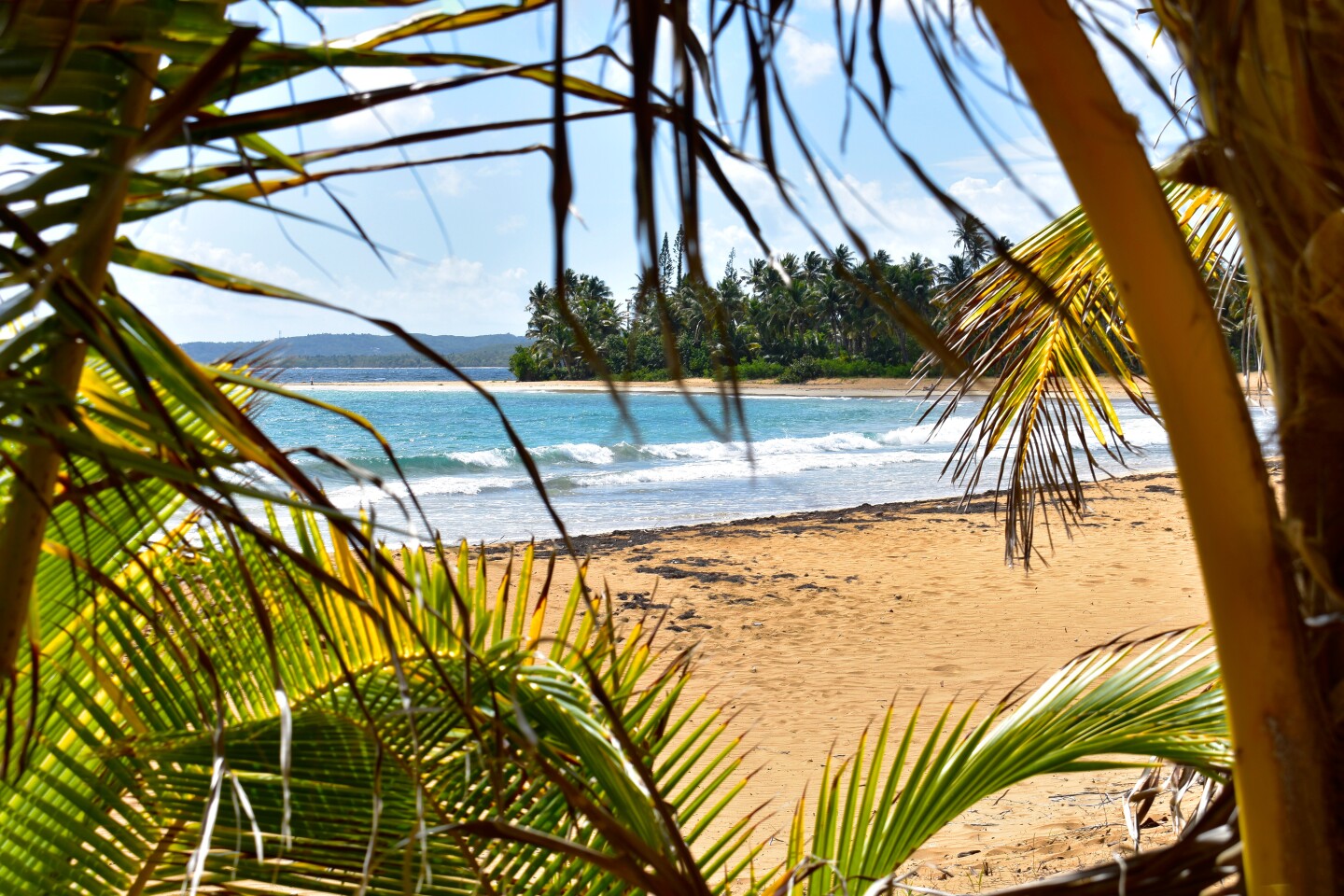 <h2>11. Playa Luquillo</h2> <p><i>Luquillo</i></p> <p>A 45-minute drive east of San Juan is the soft shoreline of Luquillo. The waves here gently lap the beach’s sands, and palm trees provide plenty of shade for an afternoon nap. Weekdays are your best bet for a crowdless beach experience, but the weekends come with their own perks if you want to step into local culture. The town’s <i>kioskos</i> come alive on the weekends and are only a 20-minute walk south of the beach. This group of 60 or so kiosks offer <a class="Link" href="https://www.afar.com/magazine/iconic-puerto-rico-foods-and-where-to-try-them">local foods</a> like <i>alcapurrias</i> and <i>empanadilla</i>s, often with live music come nighttime. </p> <p><i>This article was originally published in 2021 and most recently updated on October 23, 2023, to include current information.</i></p>