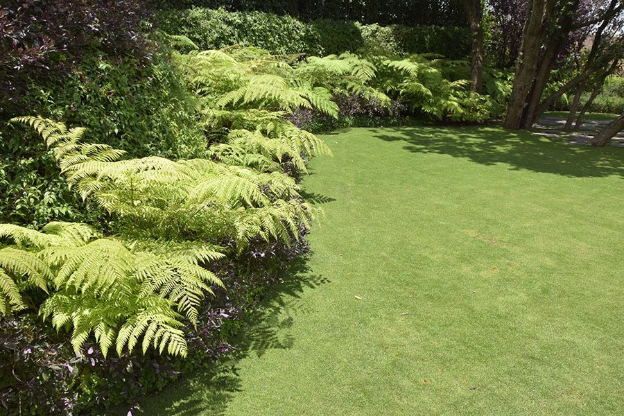 10 consejos expertos de paisajismo para lograr un jardín hermoso