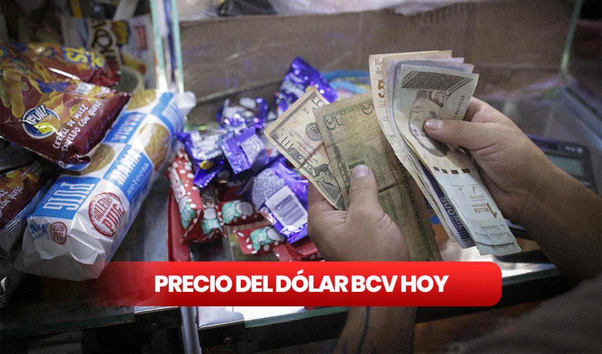 Precio del dólar BCV HOY, martes 24 de octubre ¿cuál es la tasa