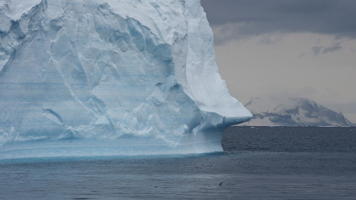 Ледяное море. Гест Пенинсула Антарктида. Территория льда. Polar Region.