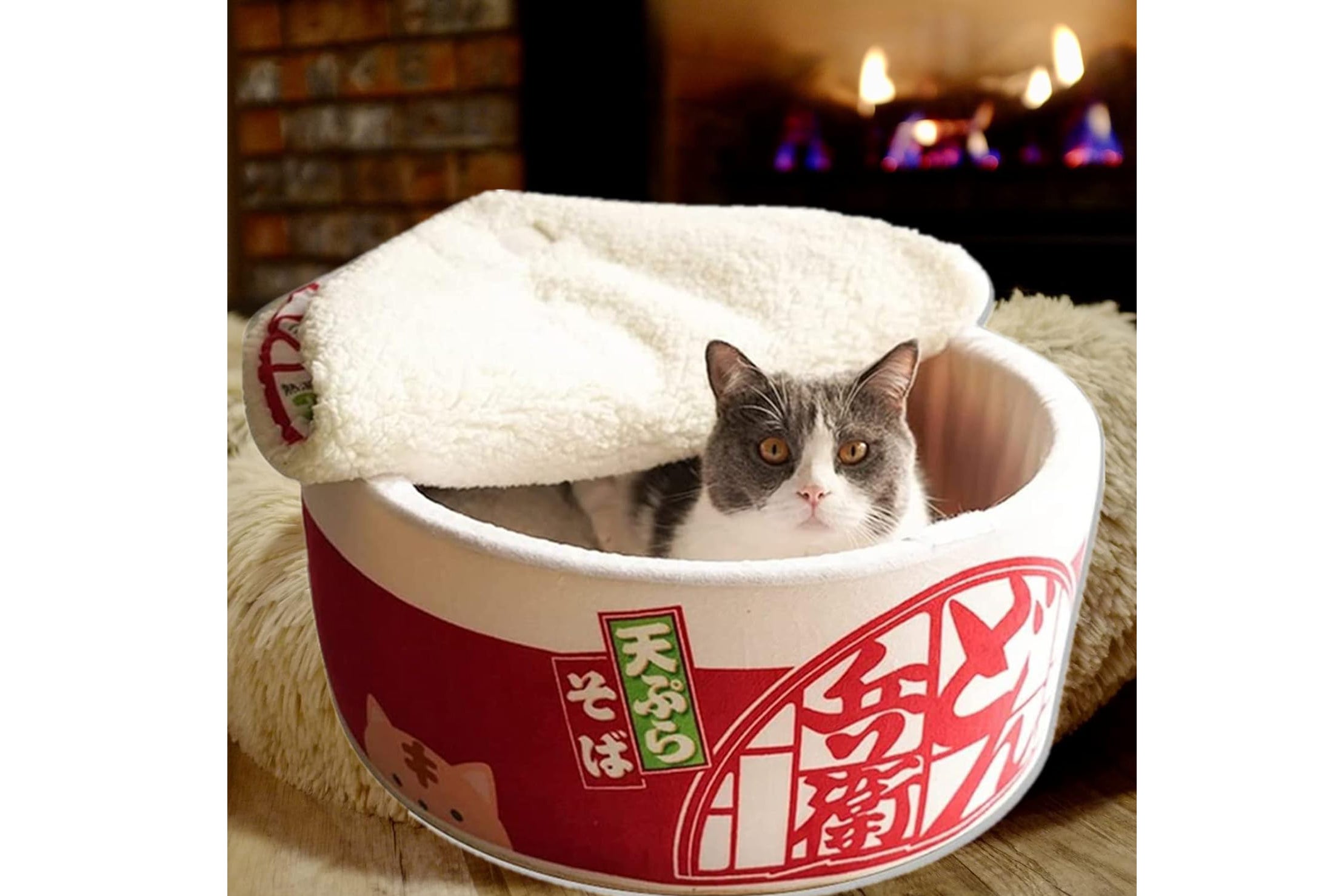 Best cat beds to keep your kitty cosy