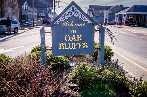 Oak Bluffs is one of the main towns on the island of Martha’s Vineyard. <a>©Melissa Kopka/iStock via Getty Images</a>