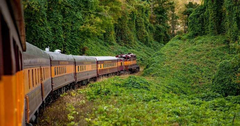 10 Affordable Yet Scenic Train Rides In The US