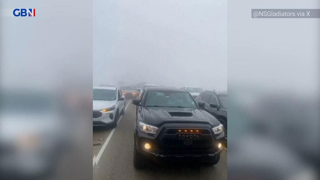 WATCH Over 150 cars collide in New Orleans pileup due to rare 'super fog'