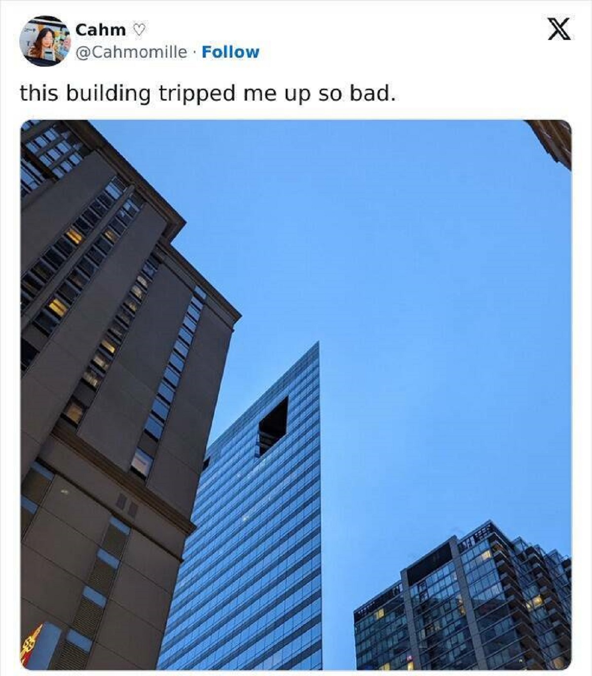 50 HeadScratching Pics You'll Need to Double Take