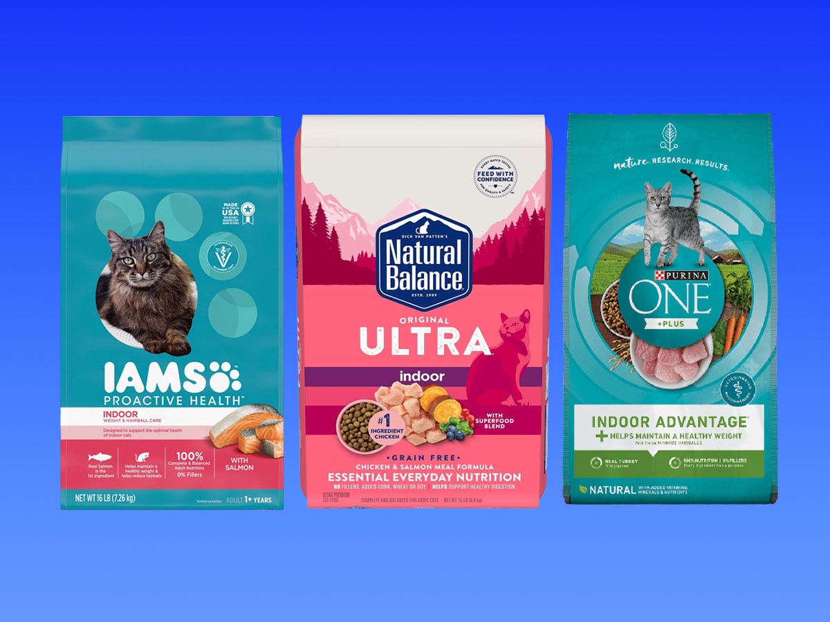 The best cat food for indoor cats in 2024