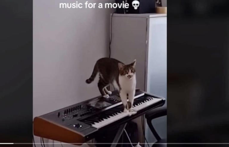 Cat Composes Music by Walking Across Keyboard