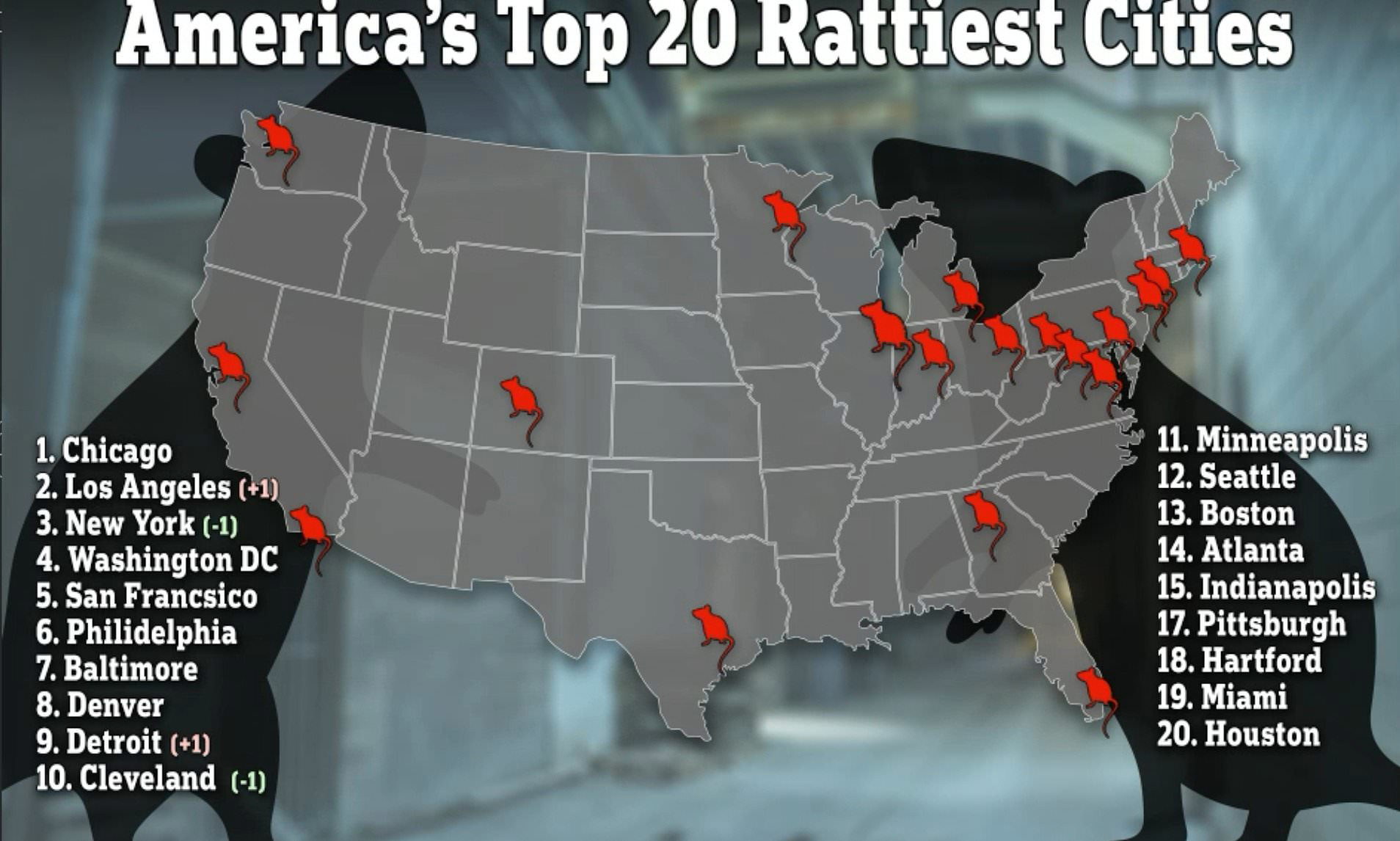 THIS is America's most rodentinfested city... and it's not New York