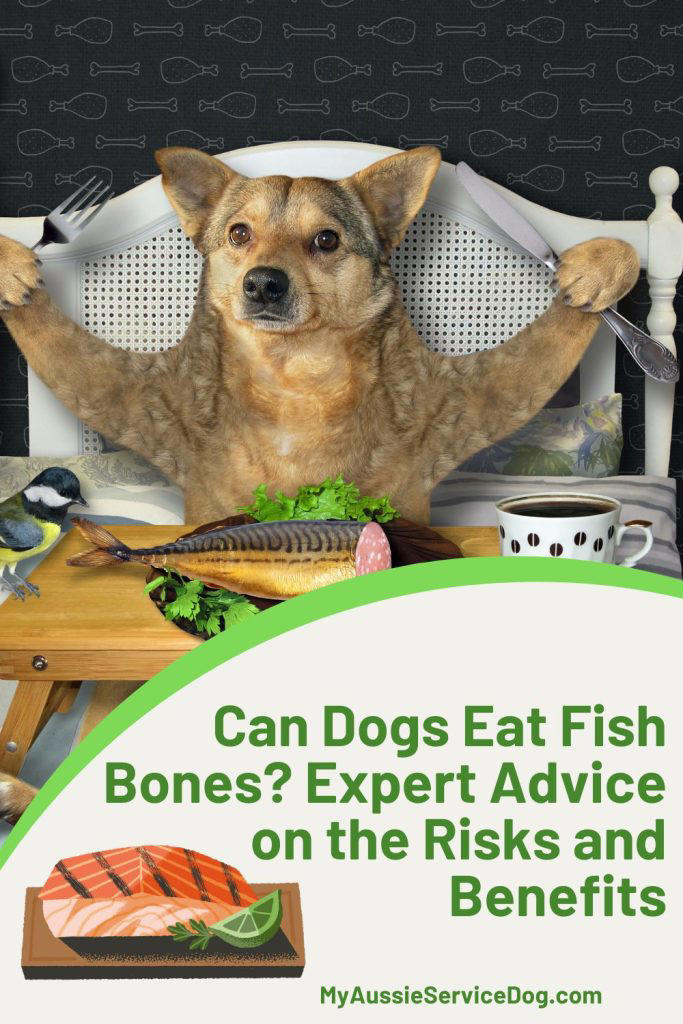 Can Dogs Eat Fish Bones? Expert Advice on the Risks and Benefits