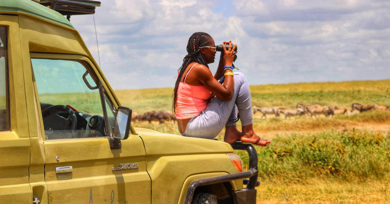Kenyan travel writer Harriet Akinyi breaks down the top 10 African countries for game drives.