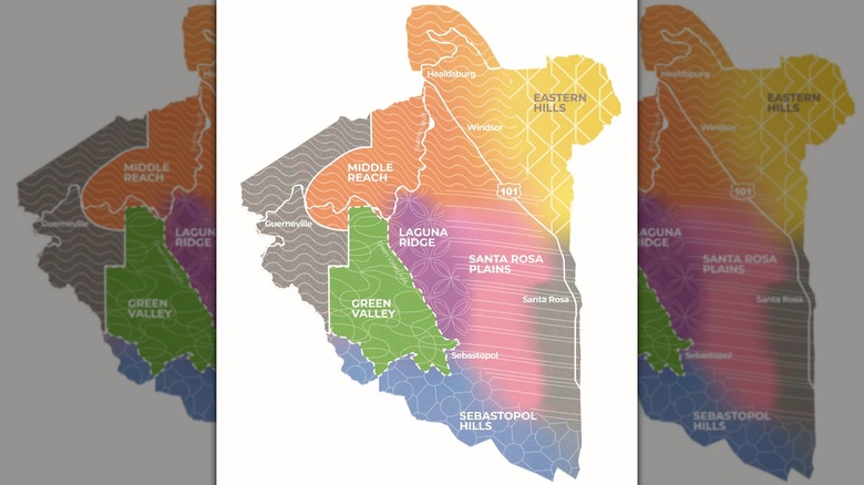 A Beginners Guide To The Wines Of The Russian River Valley AVA   AA1iOEJe.img