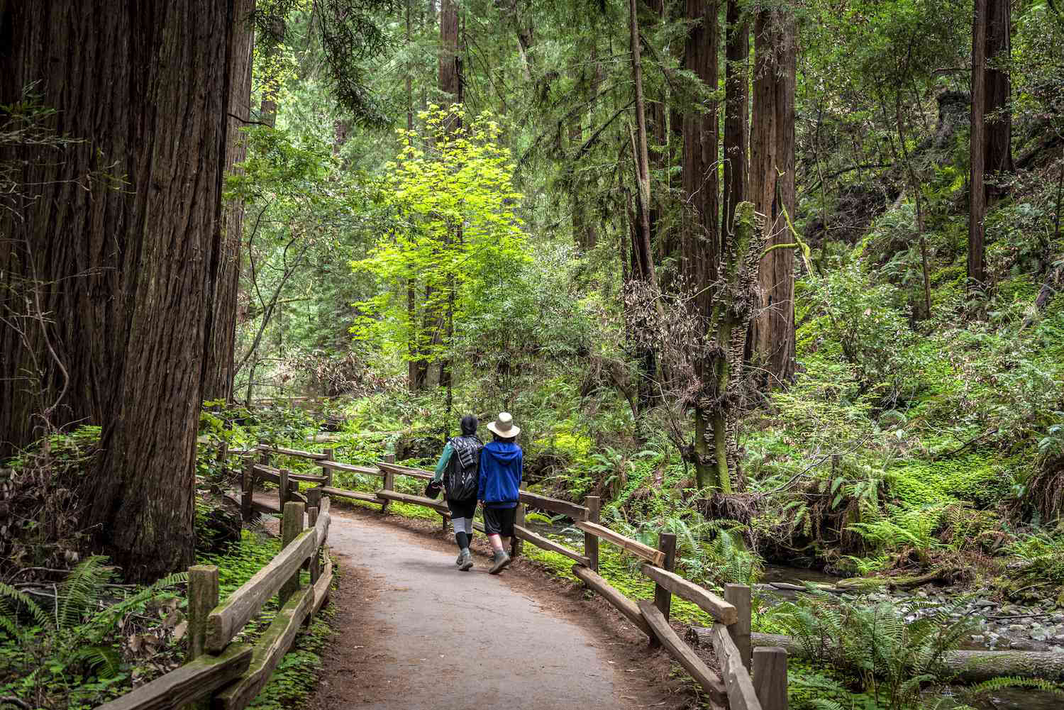11 Best Hikes in the San Francisco Bay Area