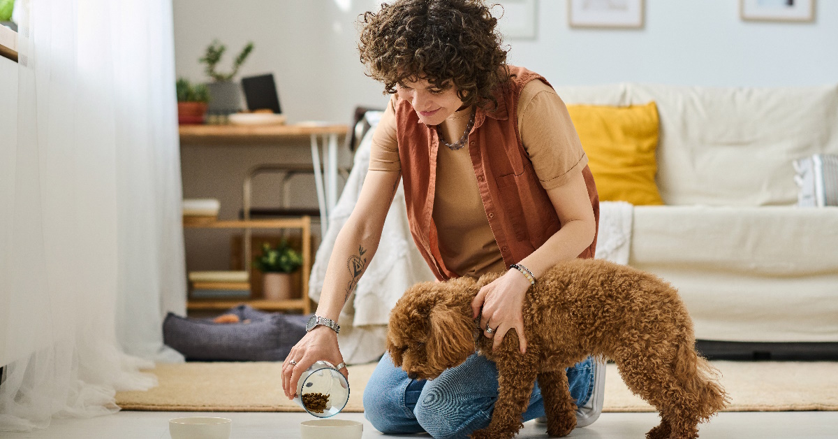 <p> Before you leave home, make sure your pet sitter or house sitter has everything they need to do their job while you’re gone.  </p> <p> Remind them which days they need to be on duty. Also, do a last check to make sure they have a key to get into your house.  </p>