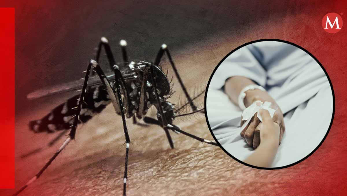 muere paciente de veracruz por dengue; se atendió en tampico
