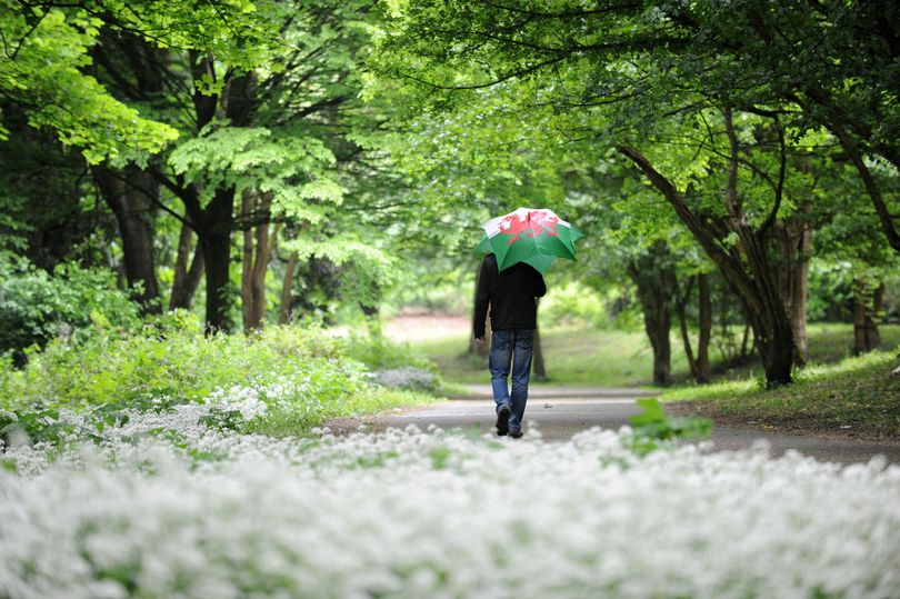 Wales Named In Top 10 Places In World To Visit In 2024 Lonely Planet List   AA1iQ381.img