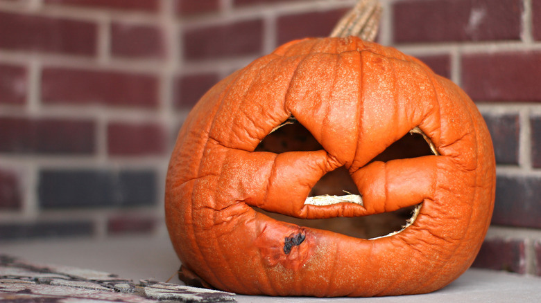 Keep Your Carved Pumpkins From Rotting With A Handy Product You Already Own