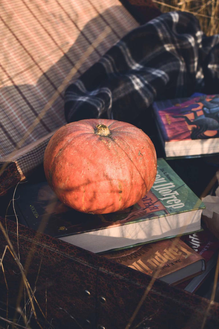 31 Fun Halloween Books for Kids to Read This Spooky Season