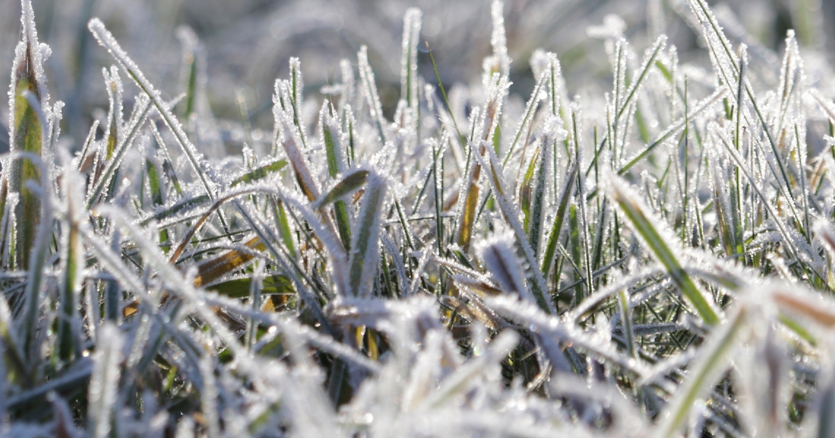 dmi med trist weekend-melding: frostgraderne vender tilbage