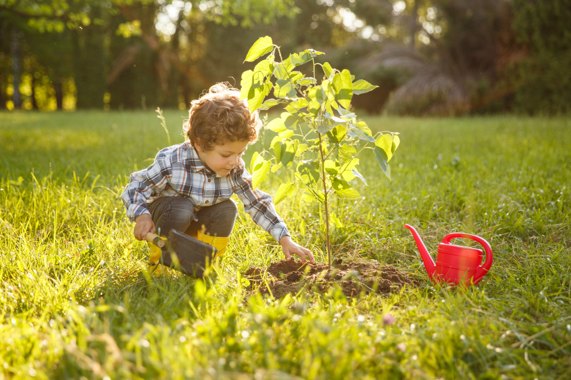 <p>Educating children about environmental responsibility is a vital part of good manners. It instills a sense of stewardship for the planet we all share.</p><p>You may also like:<a href="https://www.starsinsider.com/n/267781?utm_source=msn.com&utm_medium=display&utm_campaign=referral_description&utm_content=588009en-en"> All the times the British royal family turned up in unexpected places</a></p>