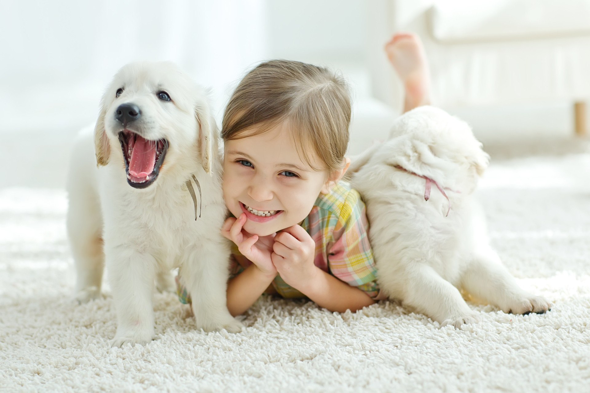 <p>Teaching kids to be gentle and kind to animals fosters empathy. It's a lesson in understanding and respecting the feelings and needs of our furry friends.</p><p>You may also like:<a href="https://www.starsinsider.com/n/178898?utm_source=msn.com&utm_medium=display&utm_campaign=referral_description&utm_content=588009en-en"> 42 incredible things to do at least once in a lifetime</a></p>