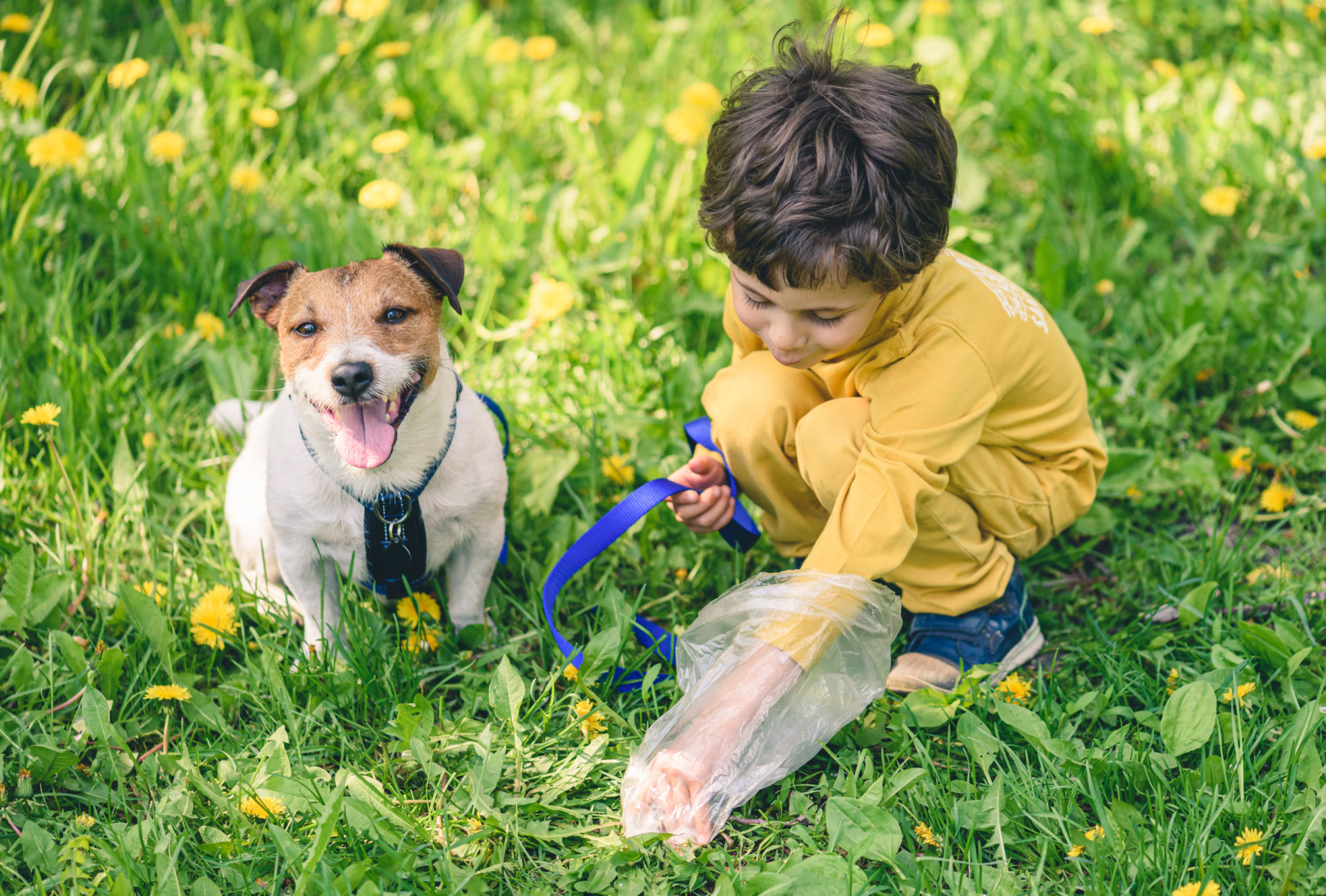 <p>Teaching kids to clean up after their pets is more than just a chore; it's a lesson in responsibility for the environment and the well-being of their furry companions.</p><p>You may also like:<a href="https://www.starsinsider.com/n/241133?utm_source=msn.com&utm_medium=display&utm_campaign=referral_description&utm_content=588009en-en"> The most insane rescue missions in modern history</a></p>