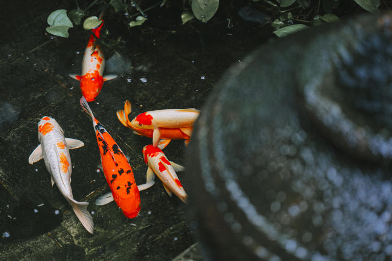 — u/ThaiTum Edwin Tan / Getty Images/iStockphoto