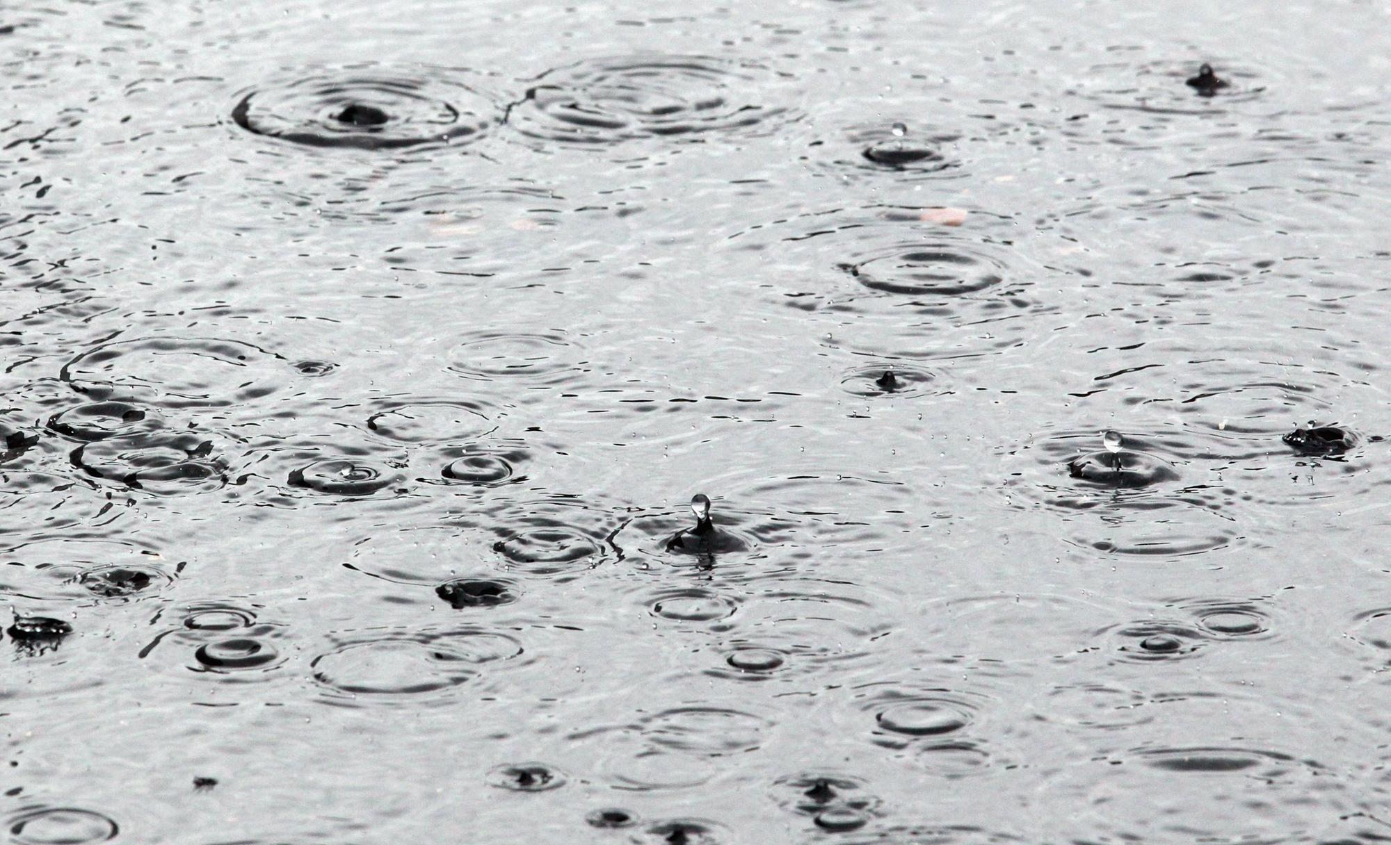 Weather raining Blood. Raindrops Falling on Water. Rain damage