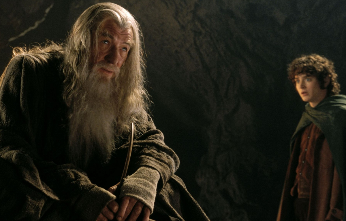 <p>The Lord of the Rings: The Fellowship of the Ring arrived on the big screen with the goal of becoming one of the greatest movies in the history of cinema, and it certainly achieved that. It is based on the book written by J.R.R. Tolkien, and the first cinematic adaptation, directed by Peter Jackson, took home 4 Oscars.</p> <p>The highly popular plot follows a hobbit from the Shire and eight companions who embark on a journey to destroy the powerful One Ring and save Middle-earth from the Dark Lord Sauron. If there’s one thing the project didn’t lack, it’s great actors.</p> <p>Elijah Wood, Orlando Bloom, Ian McKellen, Sean Bean, Viggo Mortensen, Cate Blanchett and Sean Astin are just some of the names that make up the cast of the acclaimed adventure and fantasy film, which grossed 871 million worldwide.</p>