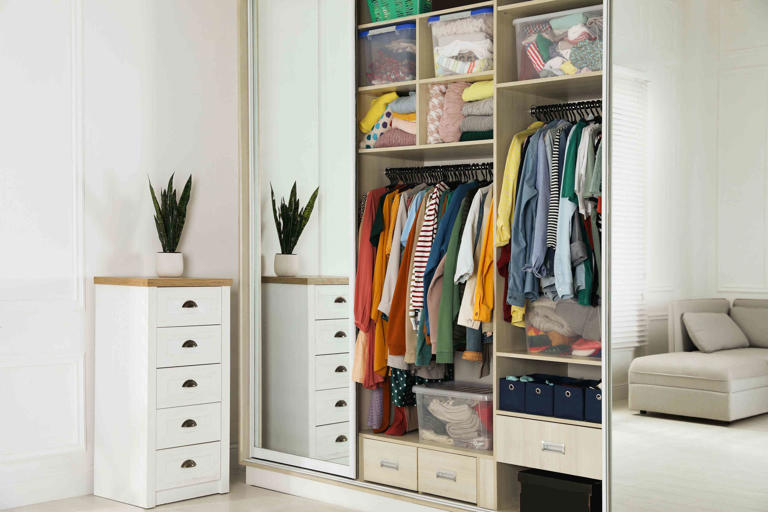20 Stylish Ways to Make the Most of Your Small Closet, According to ...