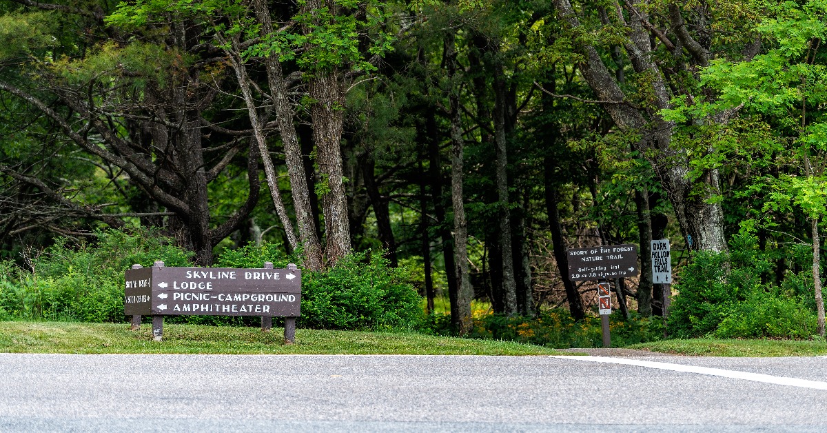 <p> Virginia’s Shenandoah National Park is picture-book scenic and a great place to hike, photograph wildlife, and take a breathtaking cruise (via Skyline Drive — just make sure you can make the 12'8" clearance at Mary's Rock Tunnel).</p><p>Try camping at Big Meadows Campground if you have your RV with you. It lets you stay close to the Byrd Visitors Center and several other attractions in the park. </p>